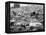 Litter of Woodstock Music Festival-null-Framed Premier Image Canvas