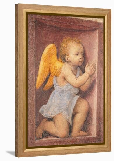 Little angel worshipping-Bernardino Luini-Framed Stretched Canvas