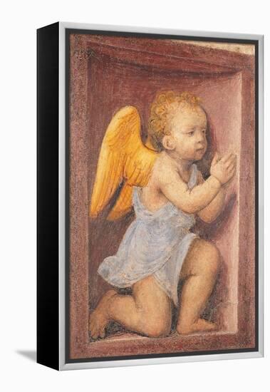 Little angel worshipping-Bernardino Luini-Framed Stretched Canvas