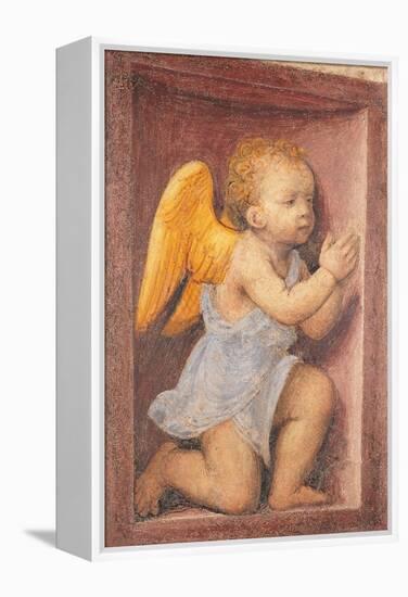 Little angel worshipping-Bernardino Luini-Framed Stretched Canvas