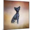 Little Angel Yorkie Poo-Jai Johnson-Mounted Giclee Print