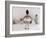 Little Ballerina in Pink with Dolls-Nora Hernandez-Framed Giclee Print