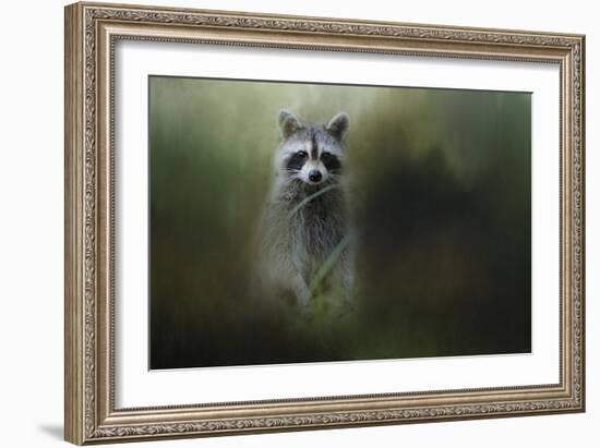 Little Bandit-Jai Johnson-Framed Giclee Print