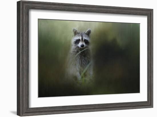 Little Bandit-Jai Johnson-Framed Giclee Print