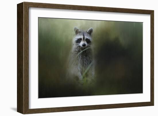 Little Bandit-Jai Johnson-Framed Giclee Print