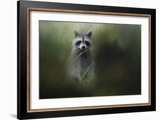 Little Bandit-Jai Johnson-Framed Giclee Print