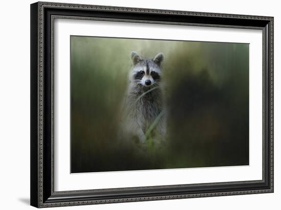 Little Bandit-Jai Johnson-Framed Giclee Print