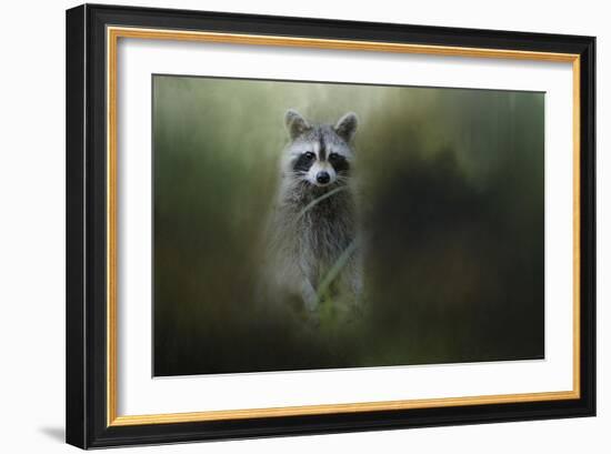 Little Bandit-Jai Johnson-Framed Giclee Print