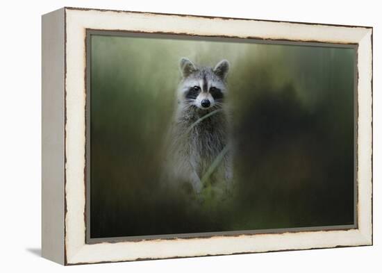 Little Bandit-Jai Johnson-Framed Premier Image Canvas