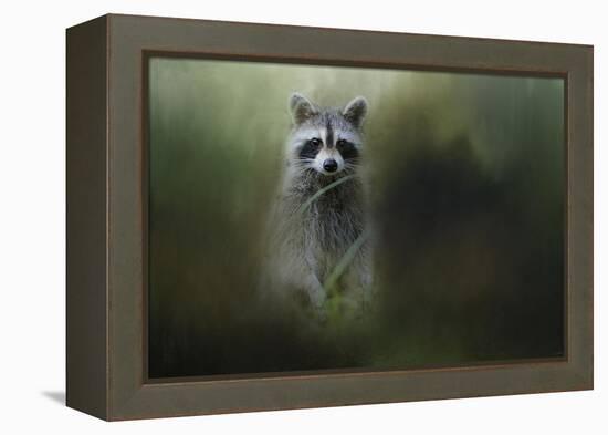 Little Bandit-Jai Johnson-Framed Premier Image Canvas