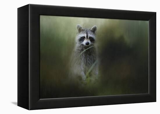 Little Bandit-Jai Johnson-Framed Premier Image Canvas