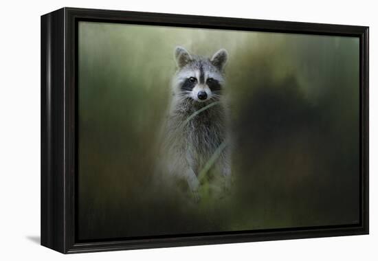 Little Bandit-Jai Johnson-Framed Premier Image Canvas