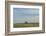 Little barn in the middle of a wheat field.-Michael Scheufler-Framed Photographic Print