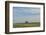 Little barn in the middle of a wheat field.-Michael Scheufler-Framed Photographic Print