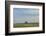 Little barn in the middle of a wheat field.-Michael Scheufler-Framed Photographic Print