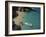 Little Bay, Anguilla-null-Framed Photographic Print