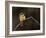 Little Bee Eater, Kenya-Charles Sleicher-Framed Photographic Print