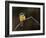 Little Bee Eater, Kenya-Charles Sleicher-Framed Photographic Print