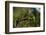 Little Bee-eater (Merops pusillus), Sabi Sands Game Reserve, South Africa, Africa-Sergio Pitamitz-Framed Photographic Print