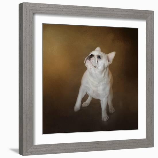 Little Beggar French Bulldog-Jai Johnson-Framed Giclee Print