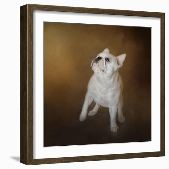 Little Beggar French Bulldog-Jai Johnson-Framed Giclee Print