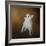 Little Beggar French Bulldog-Jai Johnson-Framed Giclee Print