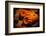 Little Big Jack-Philippe Sainte-Laudy-Framed Photographic Print