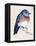 Little Bird on Branch I-Jennifer Paxton Parker-Framed Stretched Canvas
