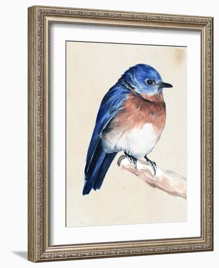 Little Bird on Branch I-Jennifer Paxton Parker-Framed Art Print