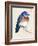 Little Bird on Branch I-Jennifer Paxton Parker-Framed Art Print