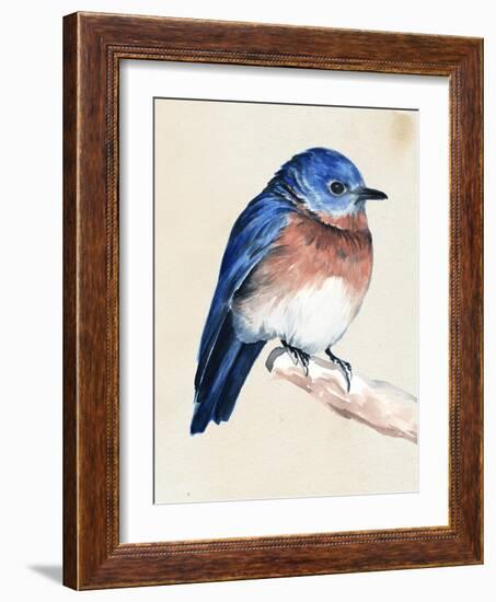 Little Bird on Branch I-Jennifer Paxton Parker-Framed Art Print