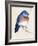 Little Bird on Branch I-Jennifer Paxton Parker-Framed Art Print