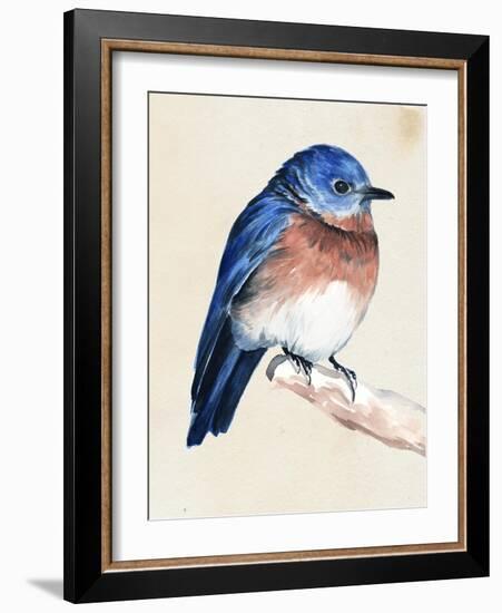 Little Bird on Branch I-Jennifer Paxton Parker-Framed Art Print