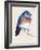 Little Bird on Branch I-Jennifer Paxton Parker-Framed Art Print