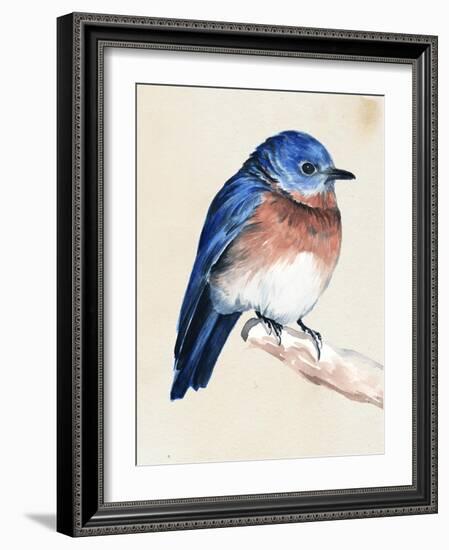 Little Bird on Branch I-Jennifer Paxton Parker-Framed Art Print