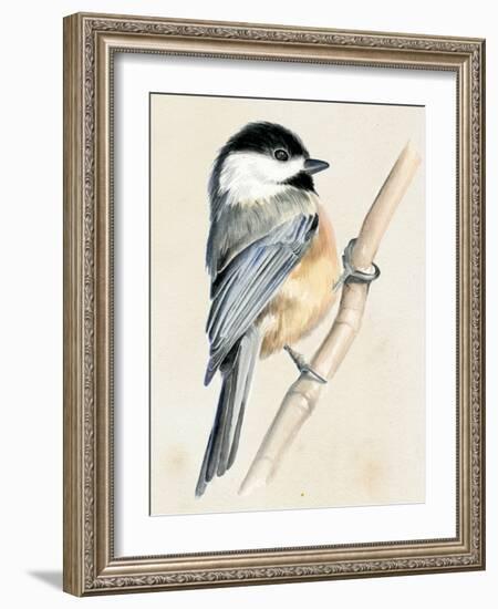 Little Bird on Branch II-Jennifer Paxton Parker-Framed Art Print