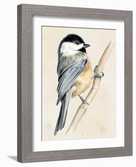 Little Bird on Branch II-Jennifer Paxton Parker-Framed Art Print