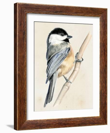 Little Bird on Branch II-Jennifer Paxton Parker-Framed Art Print