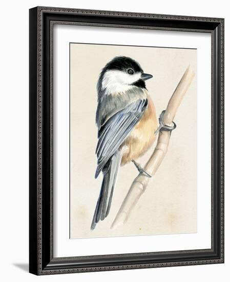 Little Bird on Branch II-Jennifer Paxton Parker-Framed Art Print