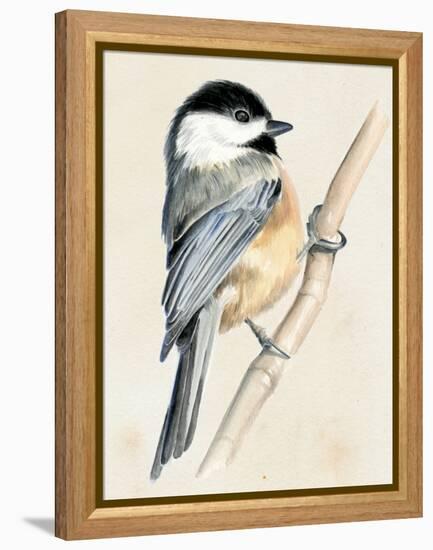 Little Bird on Branch II-Jennifer Paxton Parker-Framed Stretched Canvas