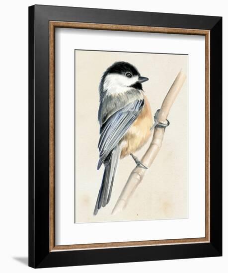 Little Bird on Branch II-Jennifer Paxton Parker-Framed Art Print
