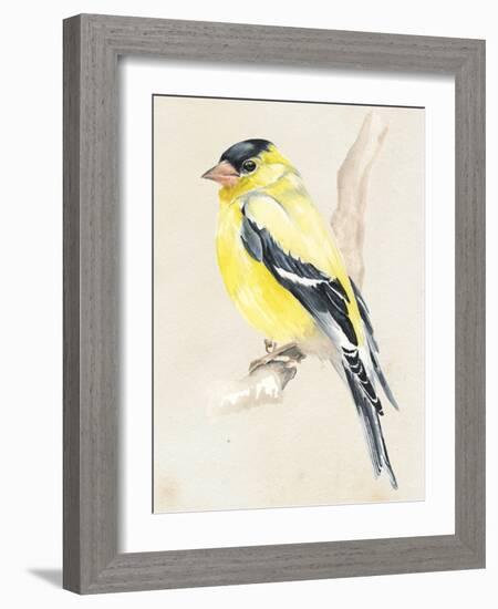 Little Bird on Branch III-Jennifer Paxton Parker-Framed Art Print