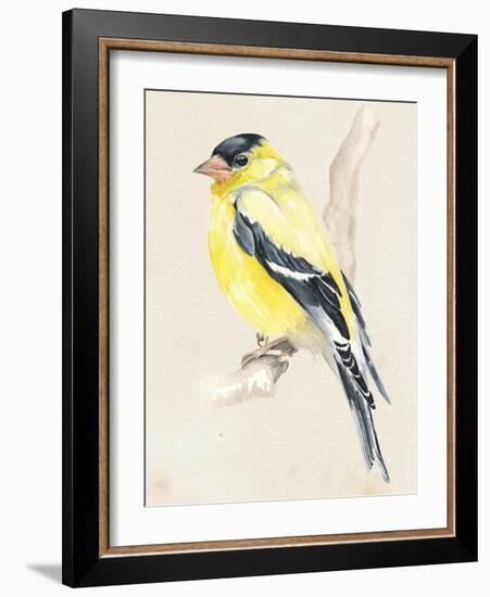 Little Bird on Branch III-Jennifer Paxton Parker-Framed Art Print