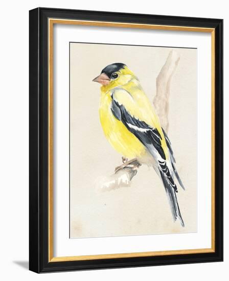 Little Bird on Branch III-Jennifer Paxton Parker-Framed Art Print