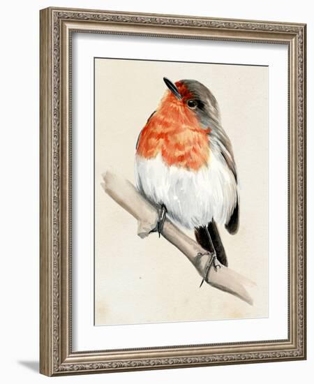 Little Bird on Branch IV-Jennifer Paxton Parker-Framed Art Print