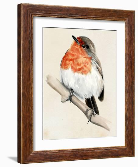 Little Bird on Branch IV-Jennifer Paxton Parker-Framed Art Print