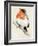 Little Bird on Branch IV-Jennifer Paxton Parker-Framed Art Print