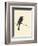 Little Bird-Aurore De La Morinrie-Framed Art Print