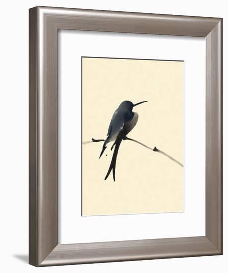 Little Bird-Aurore De La Morinrie-Framed Art Print