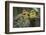 Little Birds-Art Wolfe-Framed Photographic Print